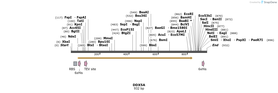 60681_map