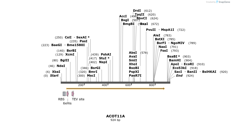 60684_map