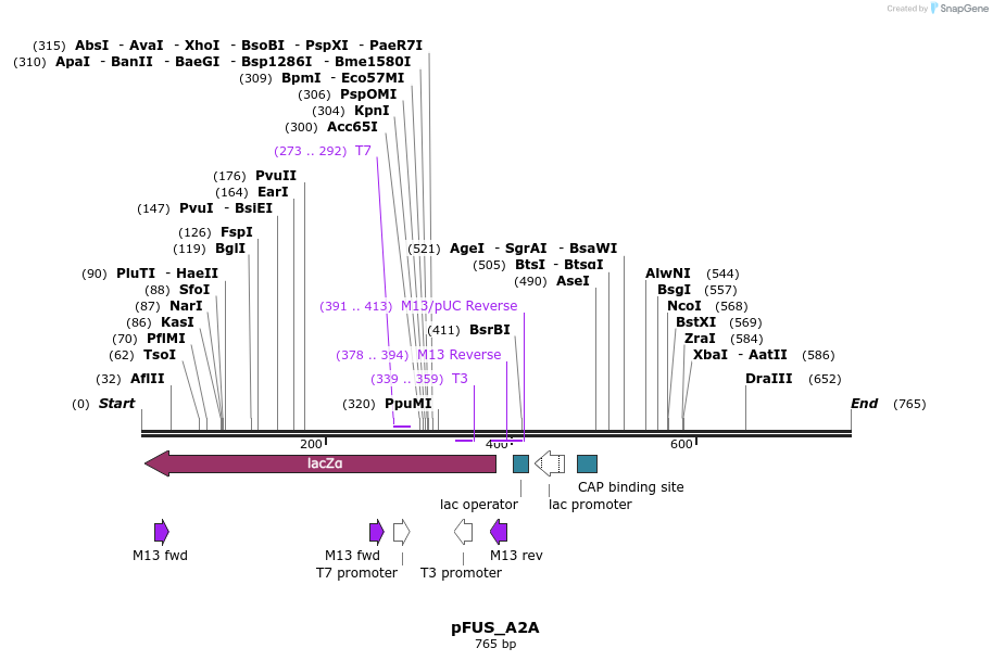 60701_map