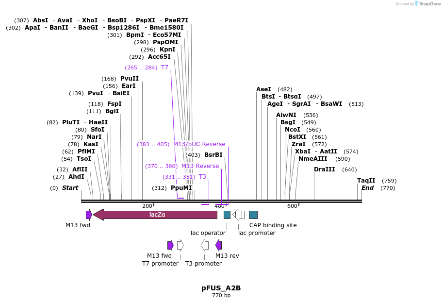 60703_map