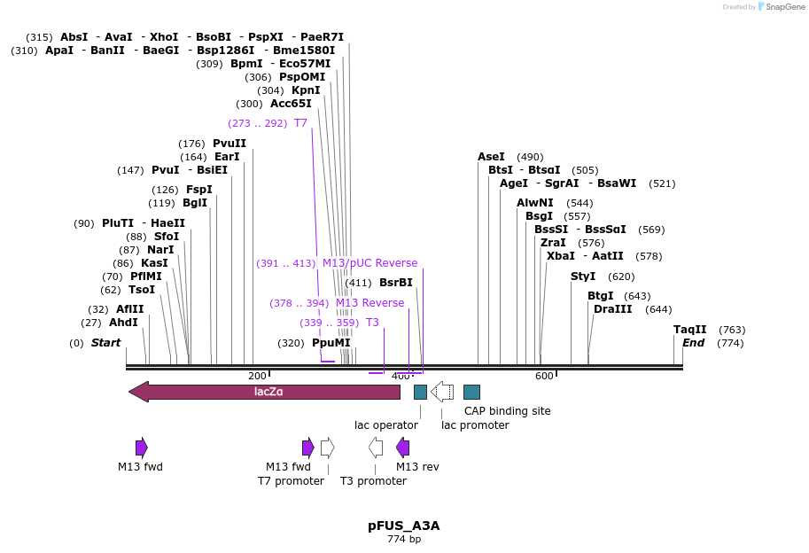 60705_map