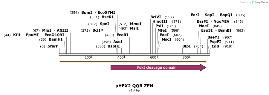 60740_map