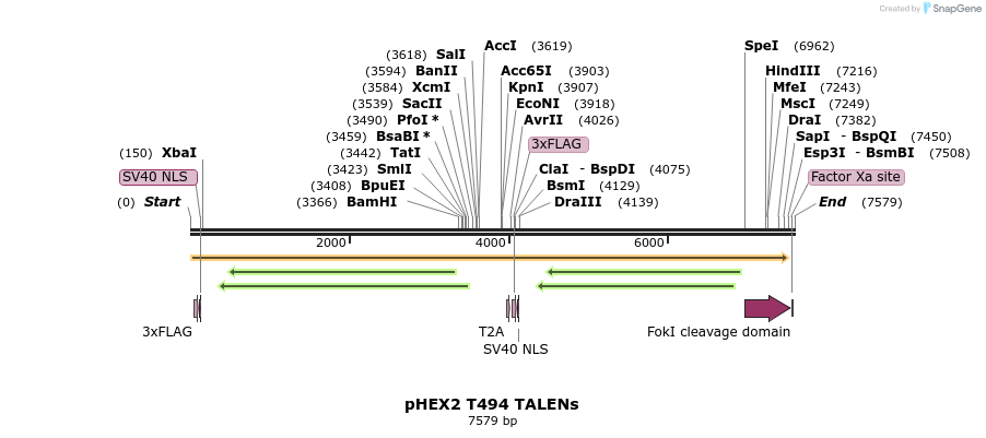 60741_map