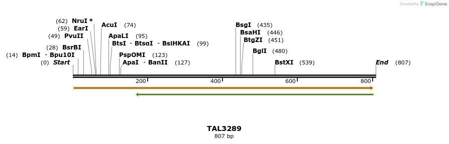 60752_map