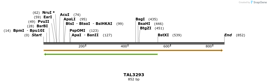 60755_map