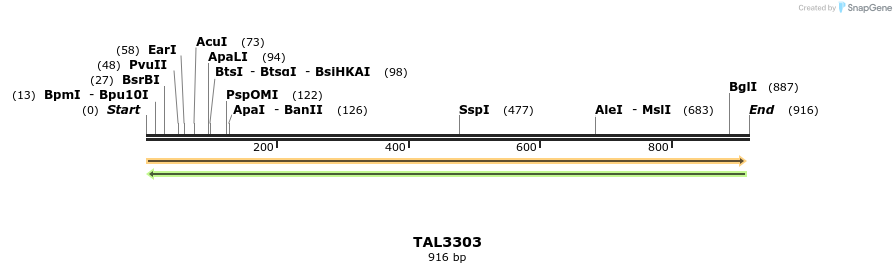 60762_map