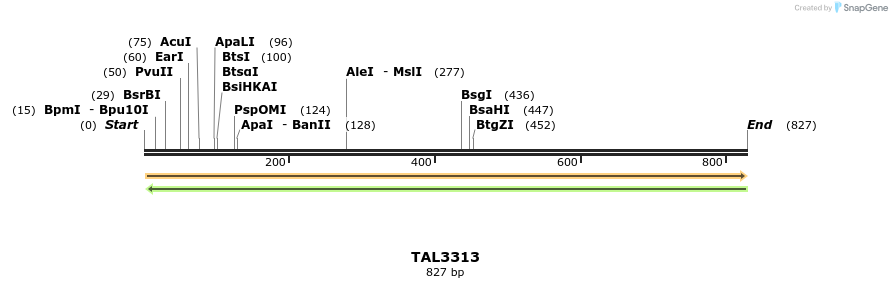 60770_map