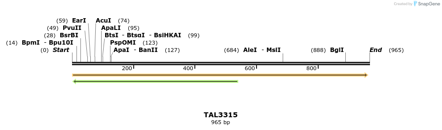 60772_map