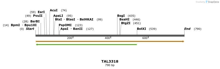 60775_map