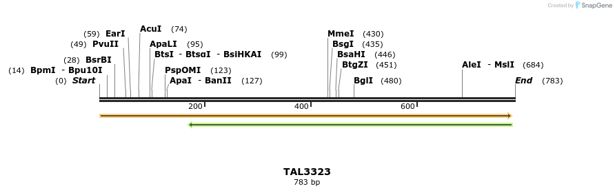 60777_map