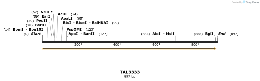 60786_map
