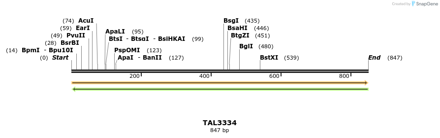 60787_map