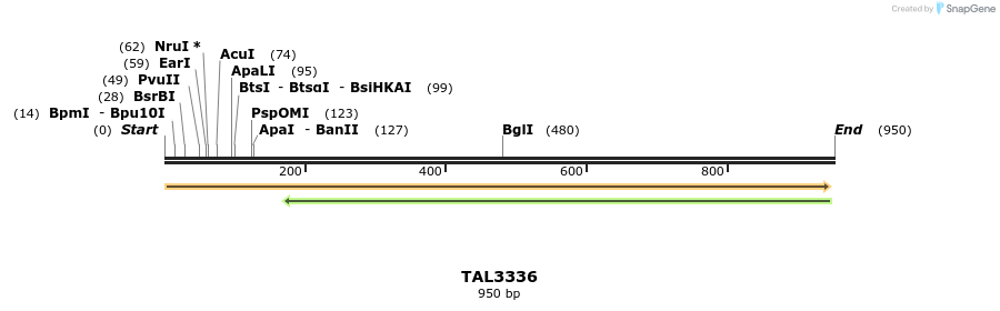 60789_map