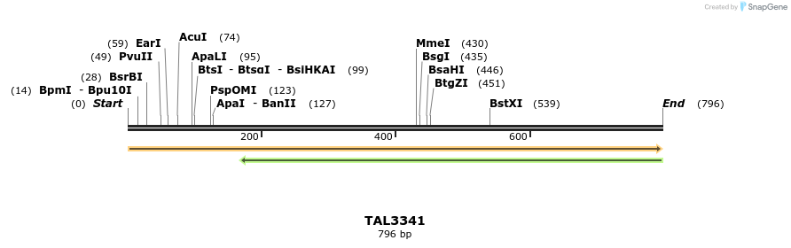 60791_map