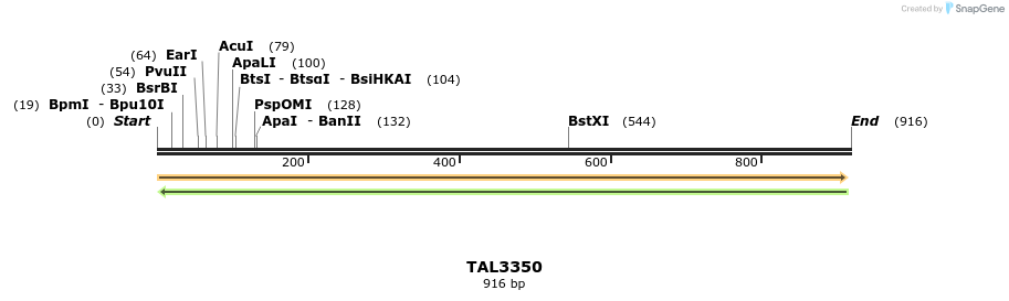 60799_map