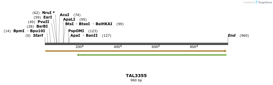 60804_map