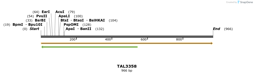 60805_map