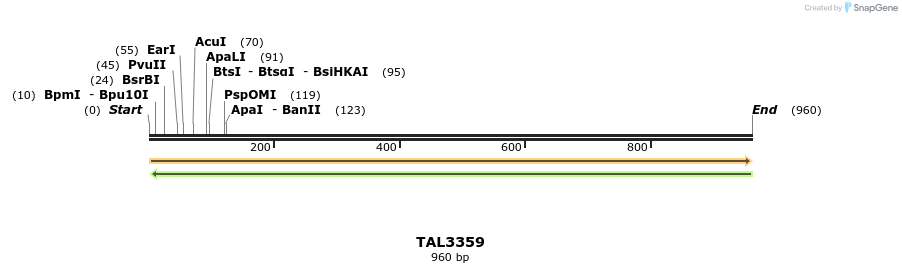 60806_map