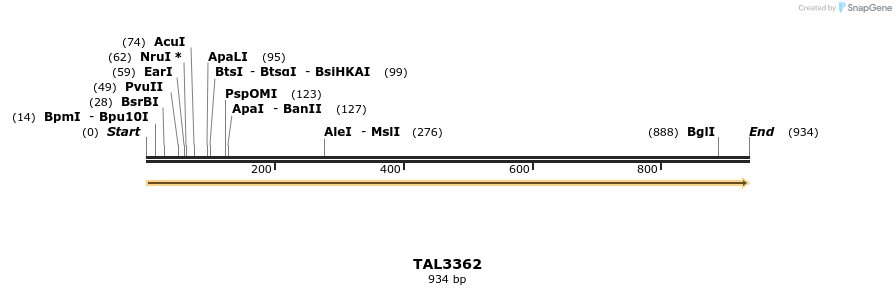 60809_map