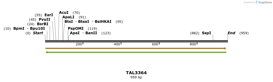 60811_map