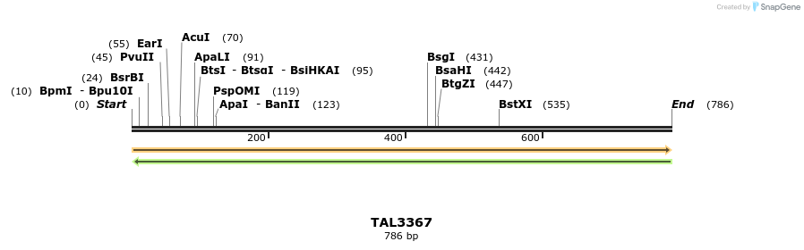 60812_map