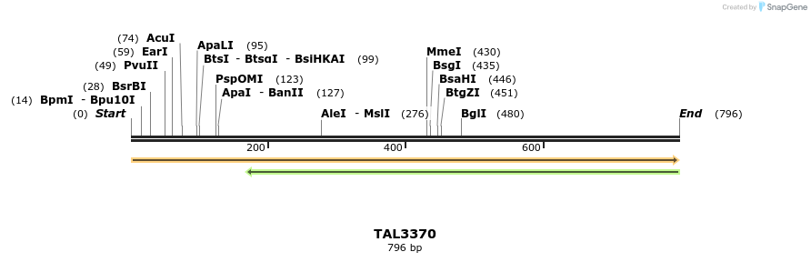 60815_map