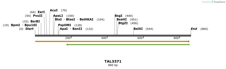 60816_map