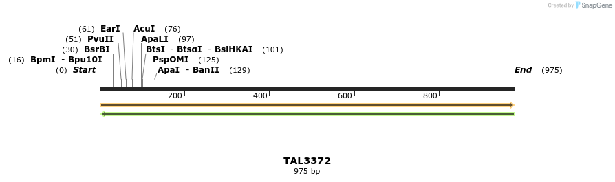 60817_map