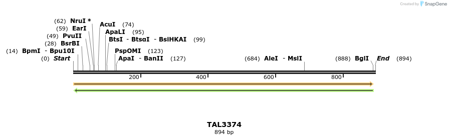 60819_map