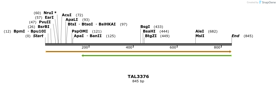 60821_map