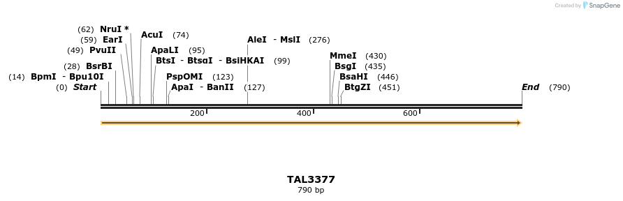 60825_map