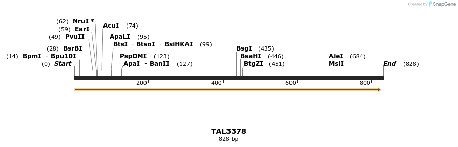60826_map