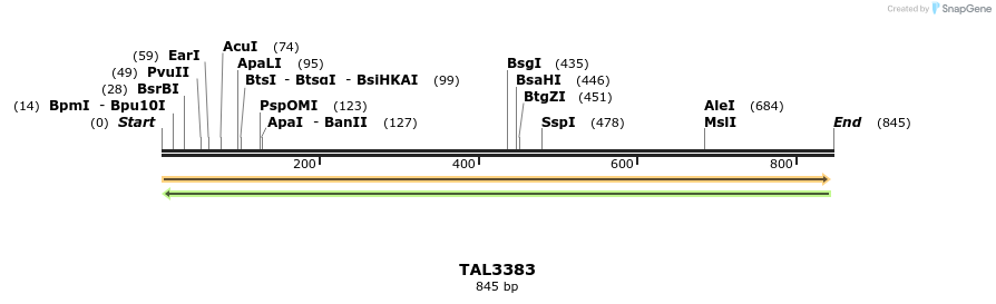60831_map