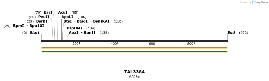 60832_map