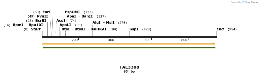 60836_map