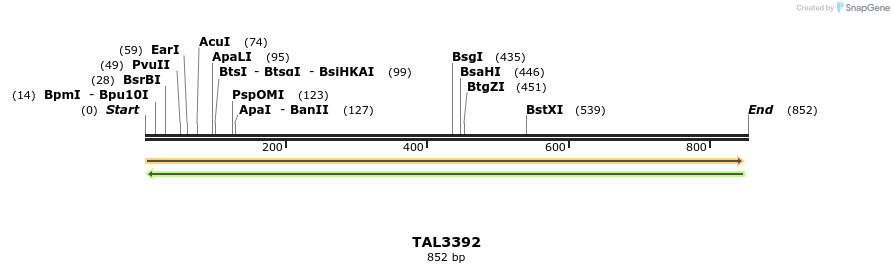 60839_map