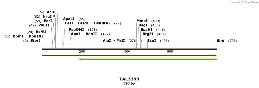 60840_map