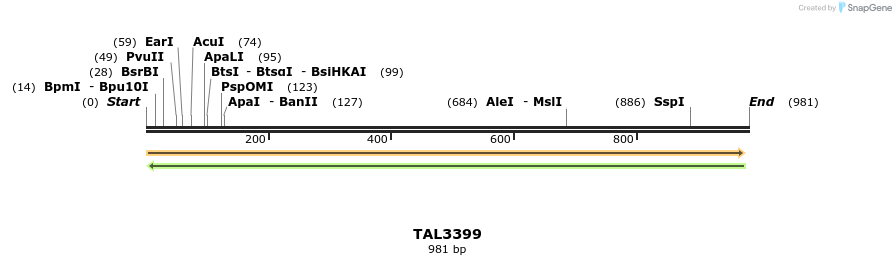 60846_map