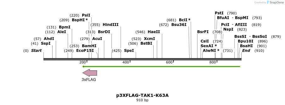 60851_map