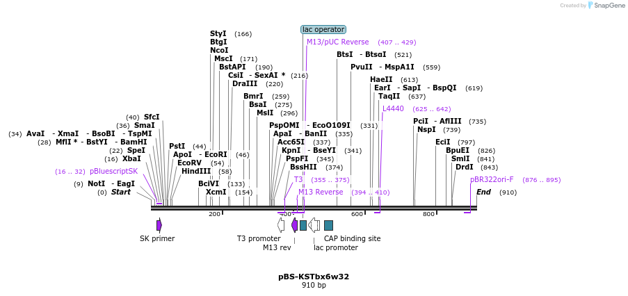 60853_map