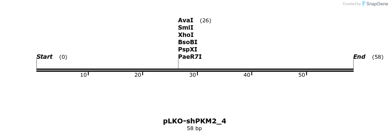 60855_map
