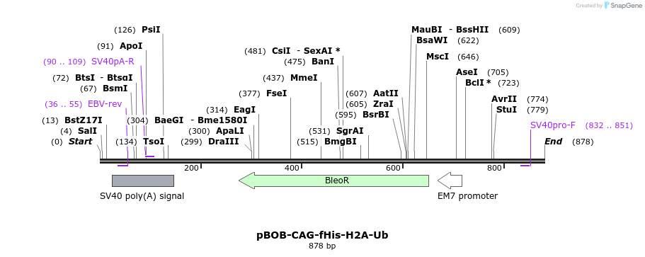 60869_map