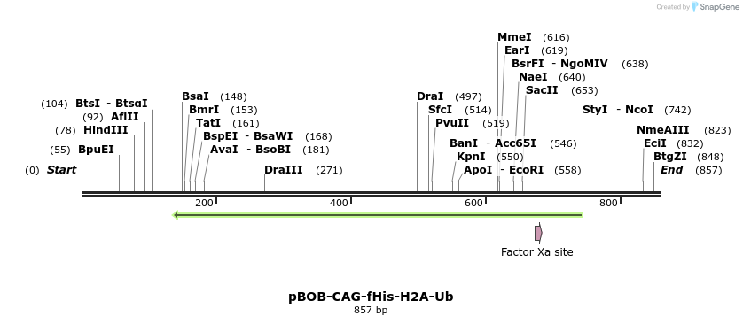 60870_map