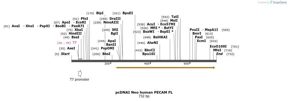 60876_map