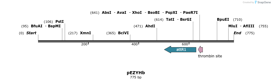 60878_map