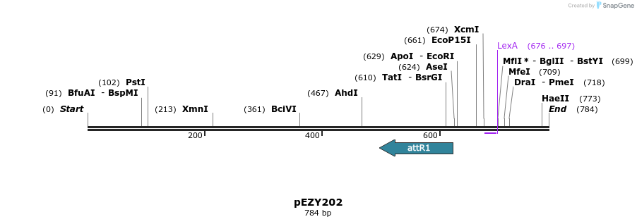 60879_map