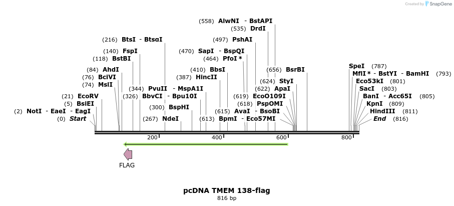 60881_map