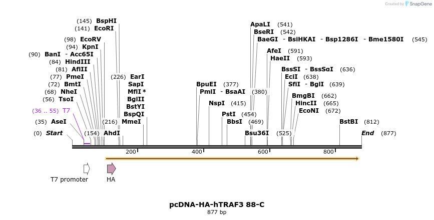 60887_map