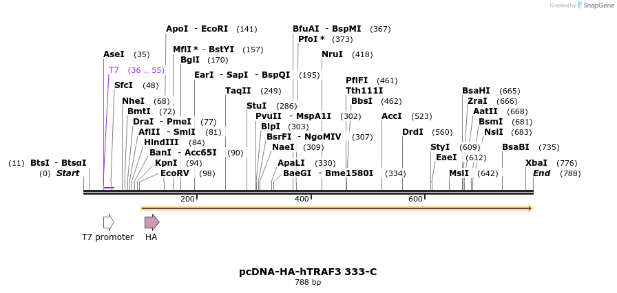 60888_map