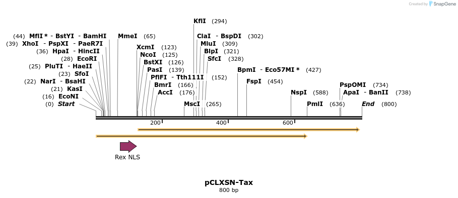 60890_map